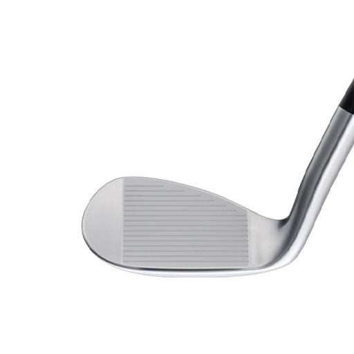 Epon Tour Wedge Type L - Club Head - view 2