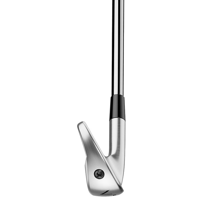 TaylorMade P790 25 Irons - Steel Shaft Iron Set